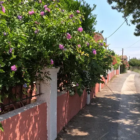 Antigoni